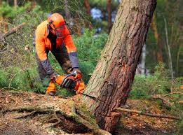 Mulching Services in Eagle Lake, WI