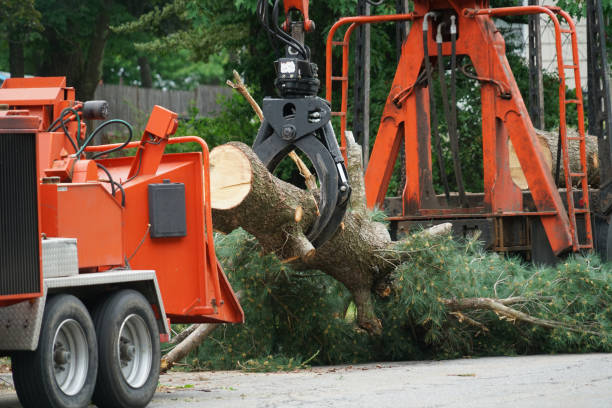 Grass Overseeding in Eagle Lake, WI